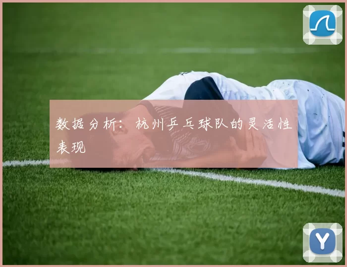 数据分析：杭州乒乓球队的灵活性表现